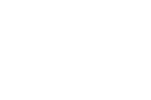 GSDI