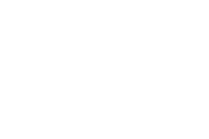 Vinci Construction