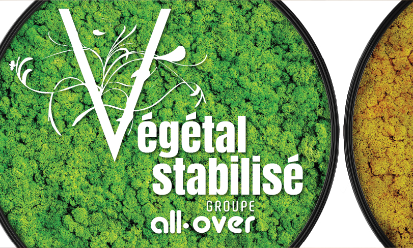 all-over- vegetal stabilisé