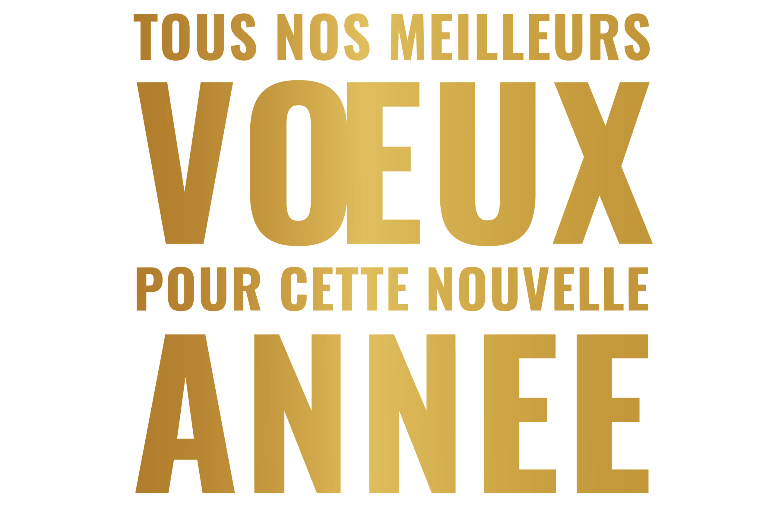 Meilleurs voeux 2024 – groupe all-over