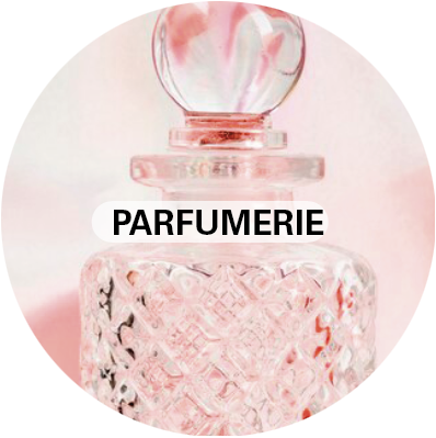 SECTEUR ACTIVITÉ 1