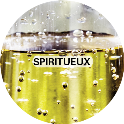 SECTEUR ACTIVITÉ 4