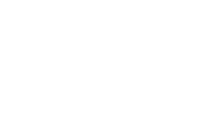 WOLKWAGEN