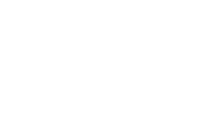 dunlopillo